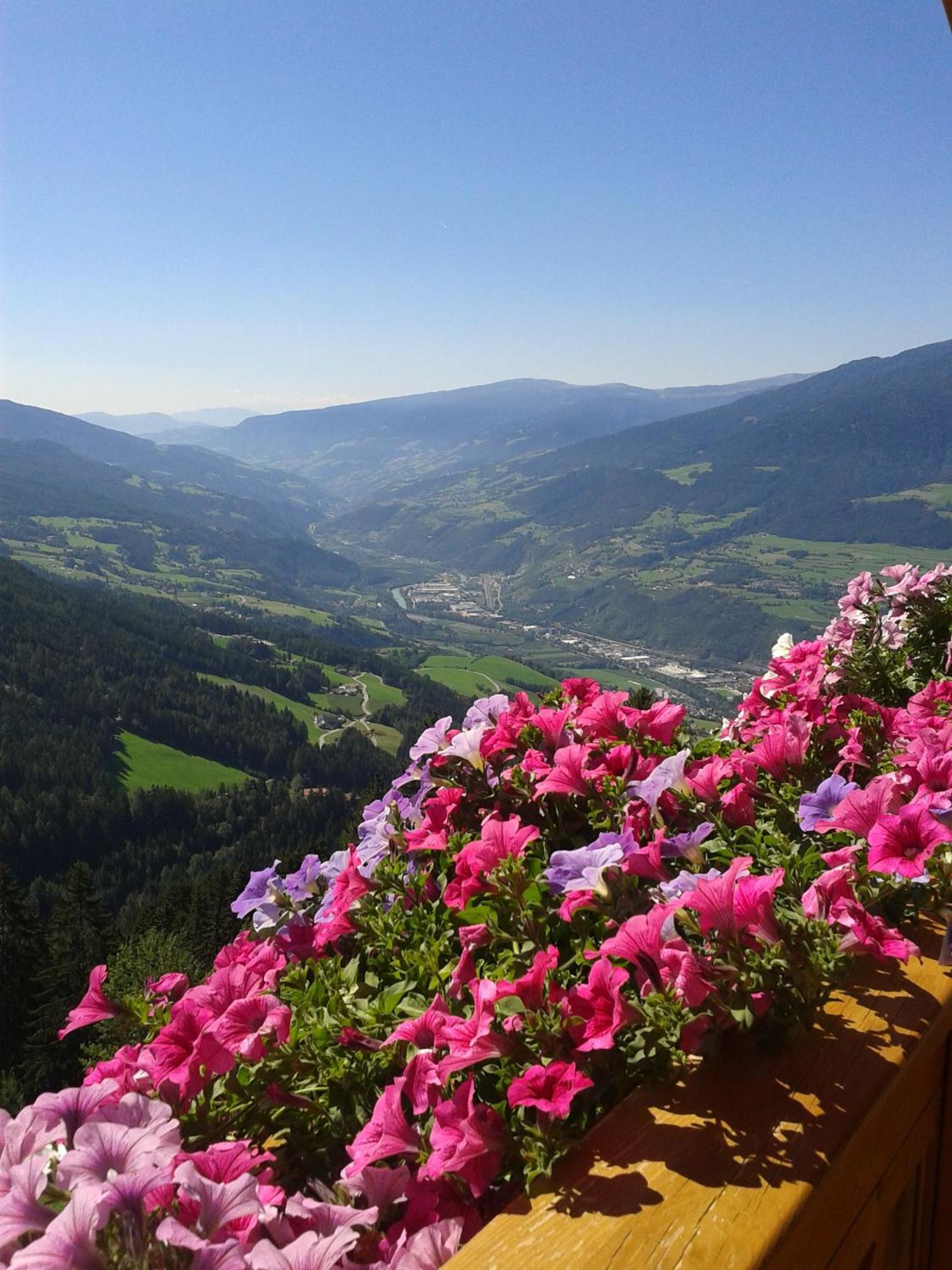 Kaserhof Wandern- Alleinlage - Ruhig- Top Aussicht Μπρεσανόνε Εξωτερικό φωτογραφία